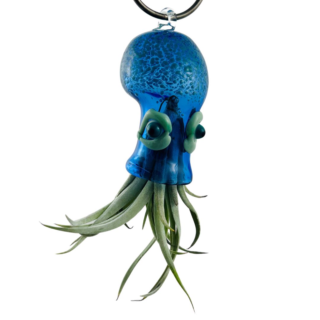 Cephalopod Air Planter - Fred – Museum Of Glass