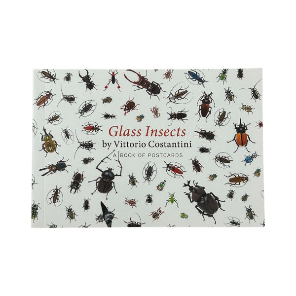 Glass Insects by Vittorio Costantini: A Book of Postcards