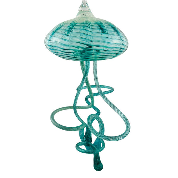 Hanging Jellyfish - Harbor Swimmer