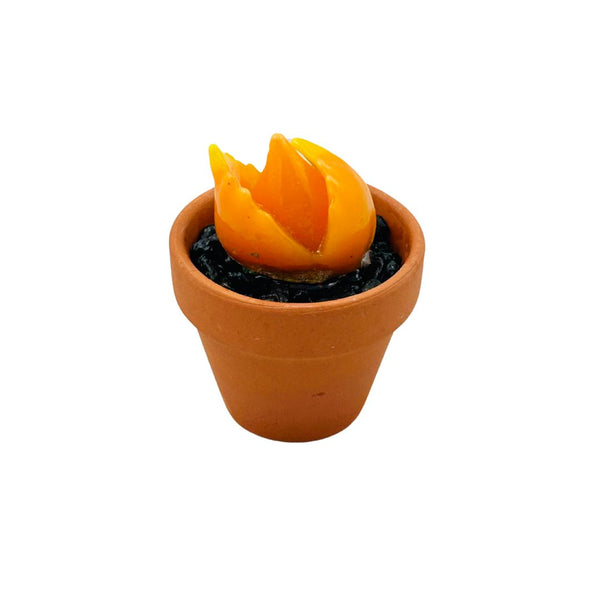 Mini Terra Cotta Glass Succulent - 01