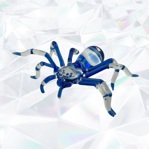 Evil Eye Cobalt Tarantula