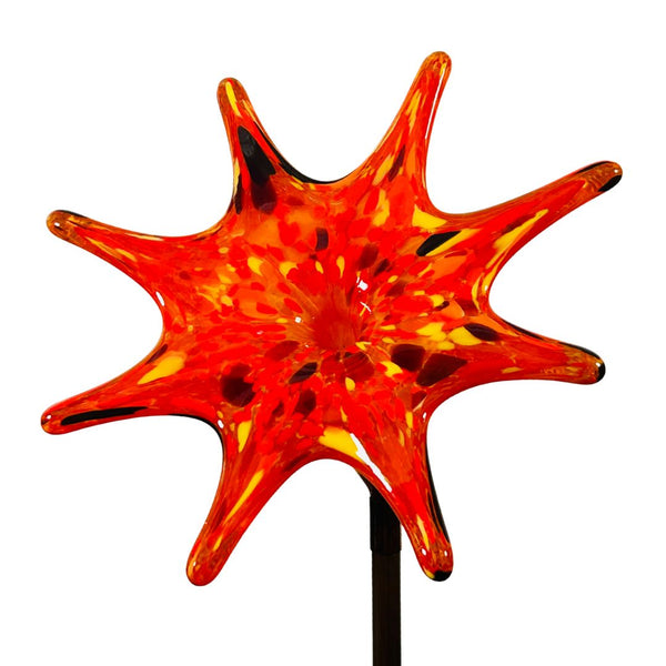 CS Garden Flower - Ablaze