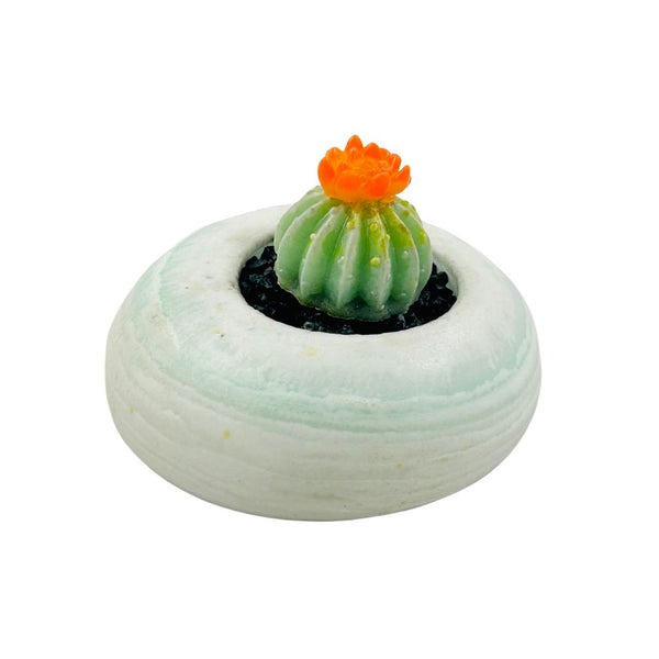 Pâte de Verre Pot Glass Succulents - 01