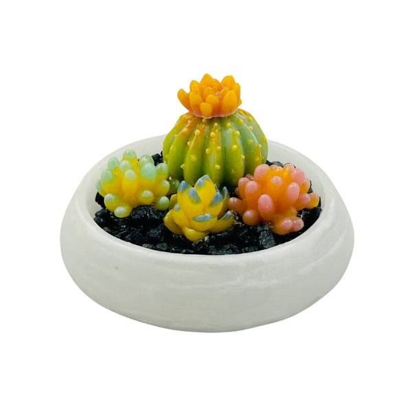 Pâte de Verre Pot Glass Succulents - 04