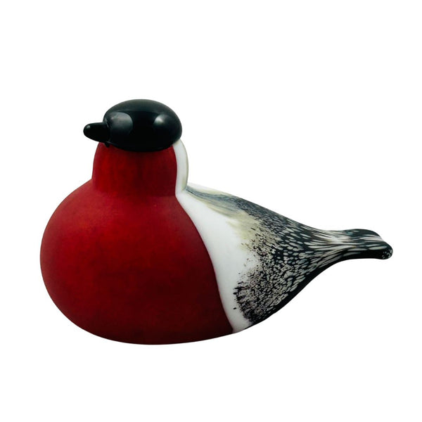 Bullfinch, red (Punatulkku, punainen)