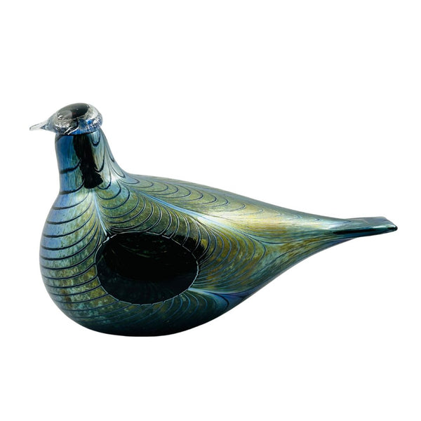 Pheasant (Fasaani)