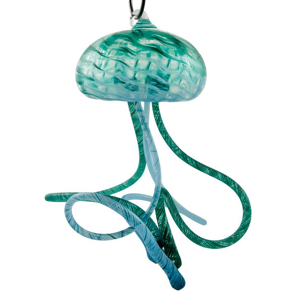 Hanging Jellyfish - Salish Sea Swimmer