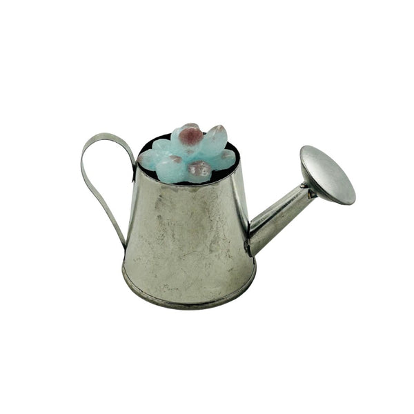 Mini Galvanized Watering Can Glass Succulent - 01