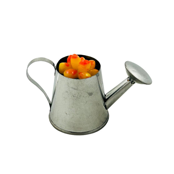 Mini Galvanized Watering Can Glass Succulent - 05