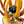 Load image into Gallery viewer, The Water Blossom Flower - Small Amber