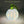 Load image into Gallery viewer, Pumpkin Nightlight - Sweet Lavender