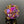 Load image into Gallery viewer, Contemporary Art Nodule - Golden Ticket
