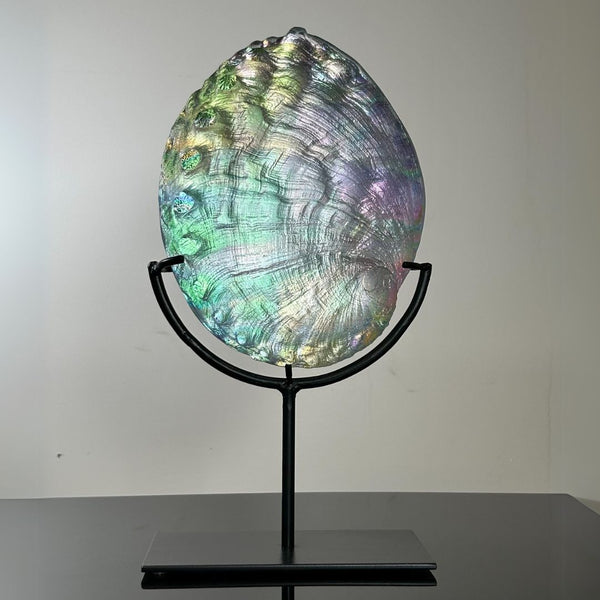 Cosmic Abalone Sculpture w/ Stand