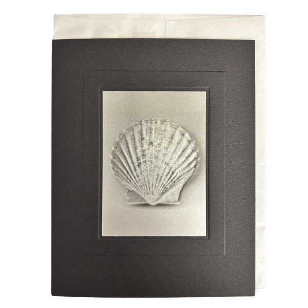 Silver Seashell
