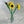 Load image into Gallery viewer, Window Box Bouquet