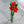Load image into Gallery viewer, Window Box Bouquet