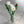 Load image into Gallery viewer, Window Box Bouquet