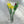 Load image into Gallery viewer, Window Box Bouquet