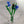 Load image into Gallery viewer, Window Box Bouquet