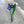 Load image into Gallery viewer, Window Box Bouquet