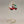 Load image into Gallery viewer, Christmas Tree Delivery Gem