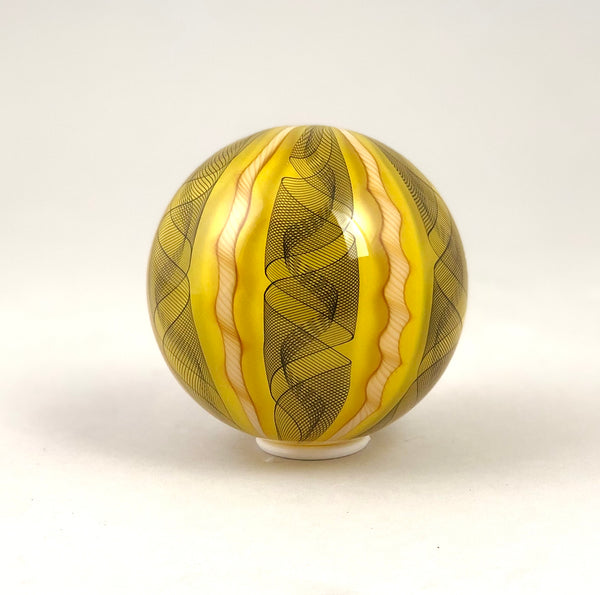 12 Cane Filigrana - Yellow w/ Black
