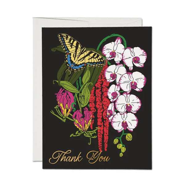 Swallowtail Thank You