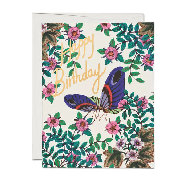 Delicate Butterfly