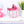 Load image into Gallery viewer, Frosted Pumpkin - Flamingo

