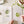 Load image into Gallery viewer, Watercolor Workbook - Garden
