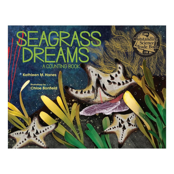 Seagrass Dreams