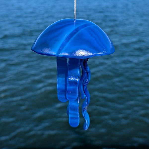 Hanging Jellyfish - Calym