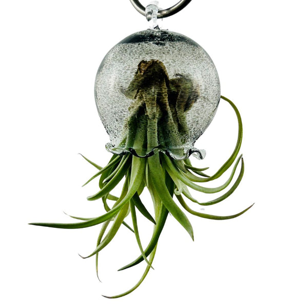 Jellyfish Air Planter - Charcoal