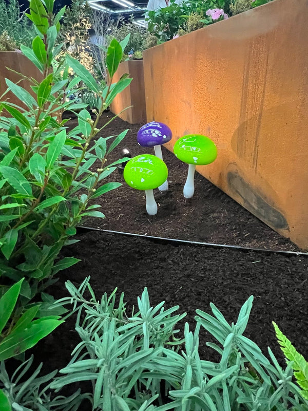 New Jesse Kelly Garden Mushrooms
