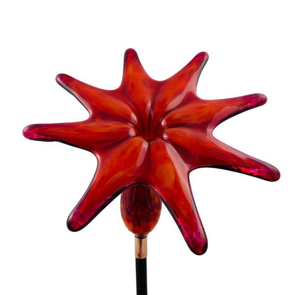 CS Garden Art - Blood Orange Flower