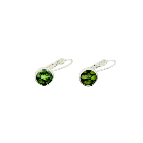 Small Latch Back Earrings - Sockeye Green