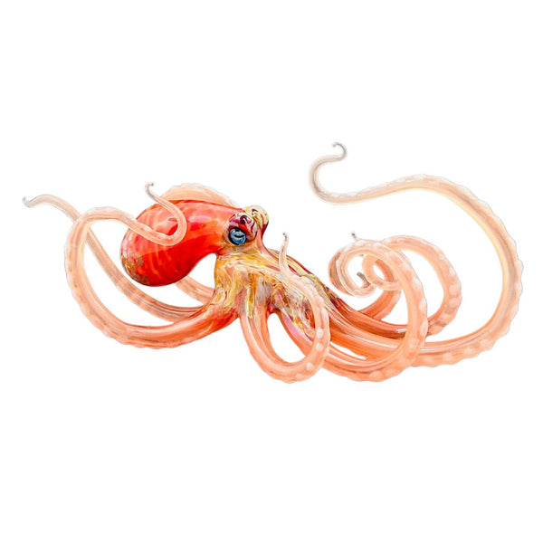 Large Glass Octopus - Coral