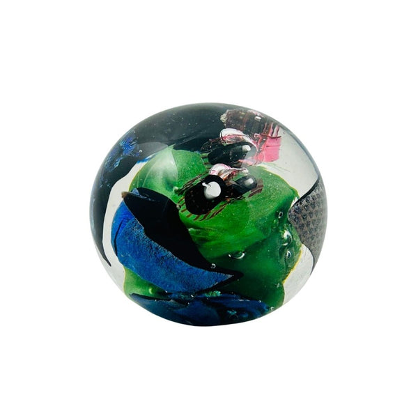 Paperweight - Colorful Fishes