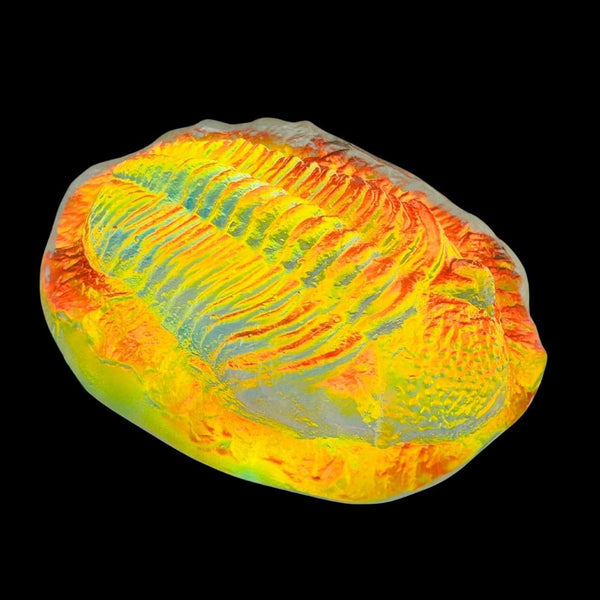Hot Lava Trilobite