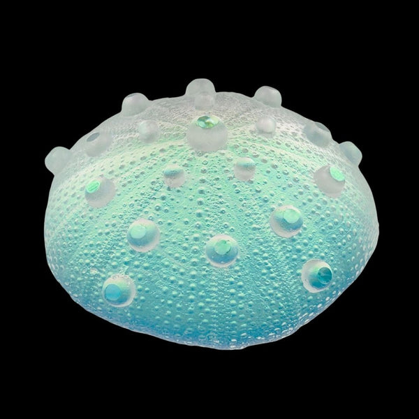 Pearl Urchin