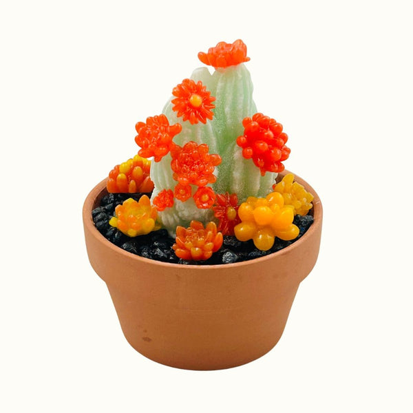 Large Terracotta Pot w/ Multicolored Succulents