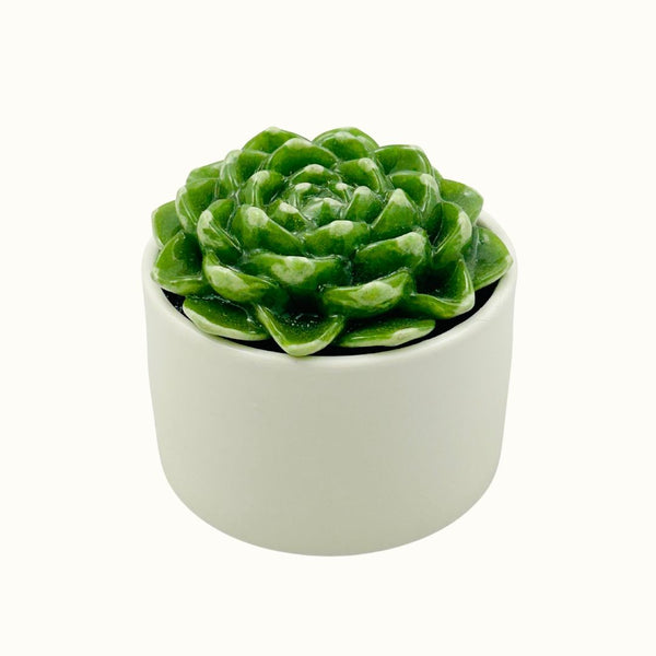 Large White Ceramic Round Green Succulent