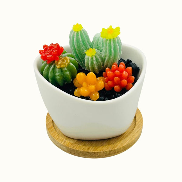 White Triangle Ceramic Pot Succulents w/ Tray - 05