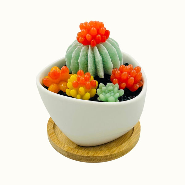 White Triangle Ceramic Pot Succulents w/ Tray - 06
