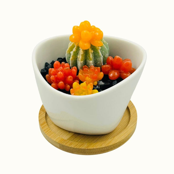 White Triangle Ceramic Pot Succulents w/ Tray - 07