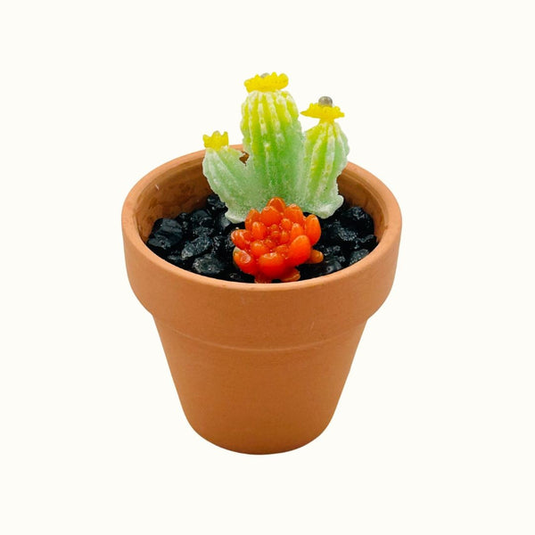 Mini Terra Cotta Glass Succulent - 01