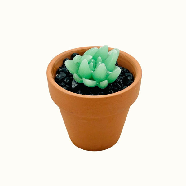 Mini Terra Cotta Glass Succulent - 03