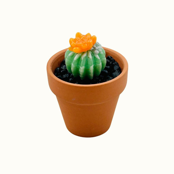 Mini Terra Cotta Glass Succulent - 04