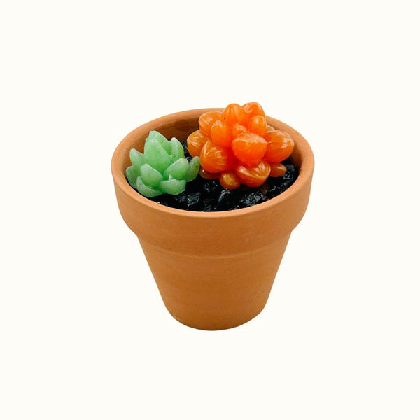Mini Terra Cotta Glass Succulent - 05