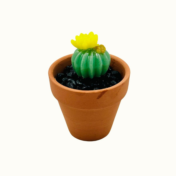 Mini Terra Cotta Glass Succulent - 06